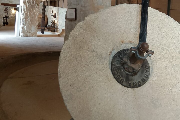 Guided tour of the Museum of Olive Culture Oil Tasting