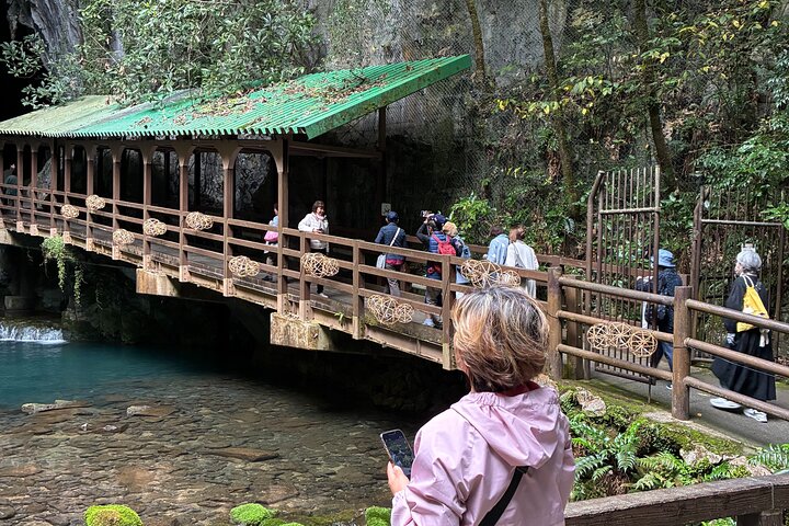 Yamaguchi Highlights and Scenic Wonders Tour from Shimonoseki