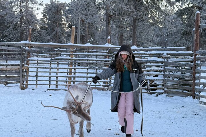 Reindeer Husbandry with Snowmobile Sleigh Ride and Cabin Lunch