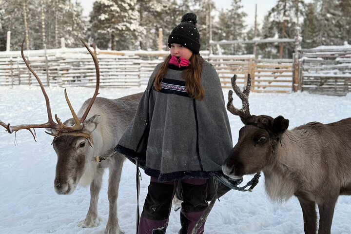 Reindeer Husbandry with Snowmobile Sleigh Ride and Cabin Lunch