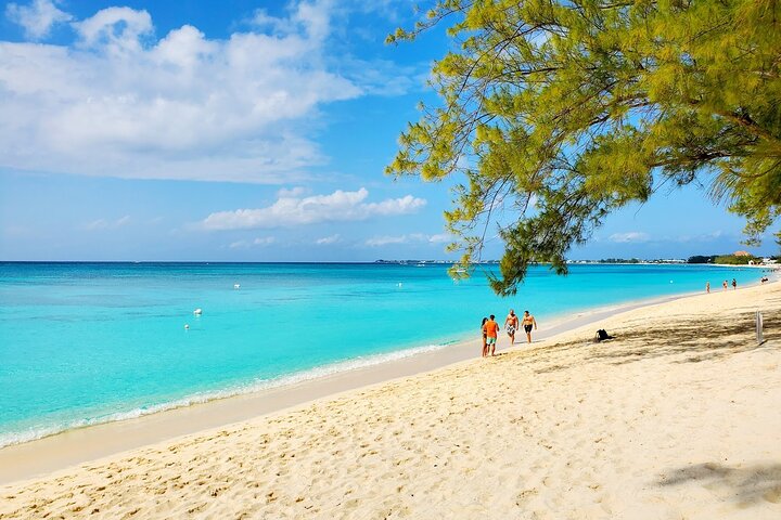 4 Stops Tour: Stingray, Snorkeling, Starfish & 7 Mile Beach