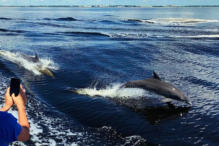 Pensacola Beach Dolphin and Scenic Tour