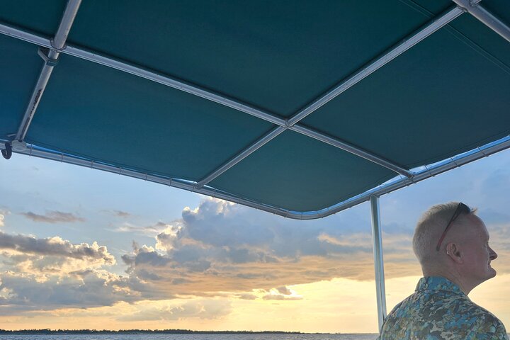 Pensacola Beach Dolphin and Scenic Tour