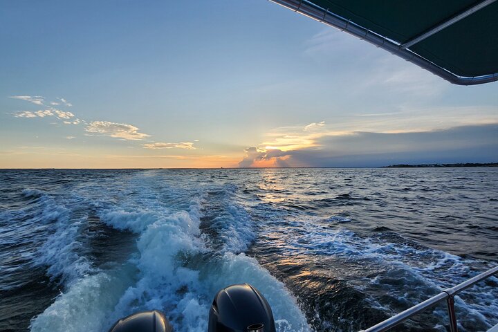 Pensacola Beach Dolphin and Scenic Tour