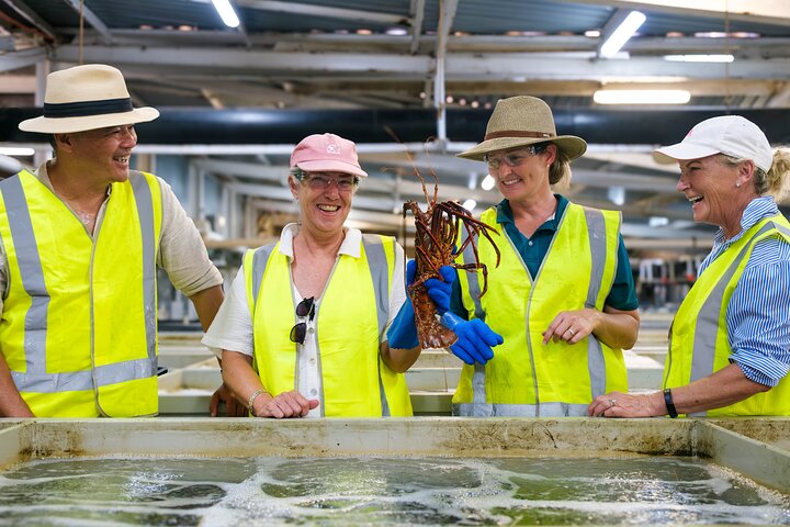 Behind-The-Scenes Ocean Harvest Tour