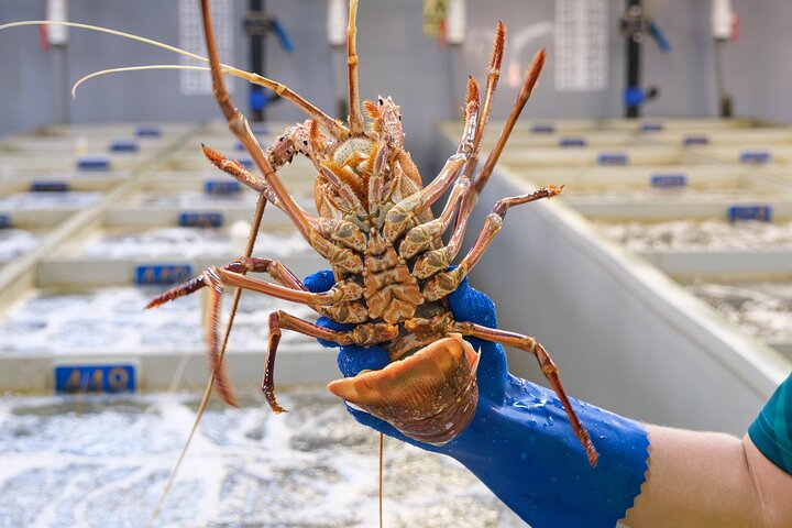 Behind-The-Scenes Ocean Harvest Tour