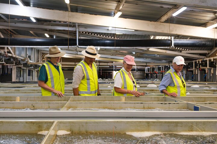 Behind-The-Scenes Ocean Harvest Tour