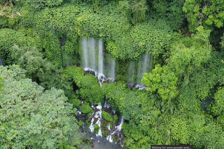 Lombok Private Trip: 4 Waterfalls, Rice Fields & Jungle Trek
