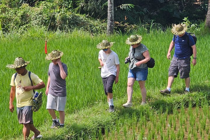 Lombok Private Trip: 4 Waterfalls, Rice Fields & Jungle Trek