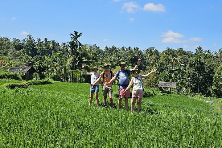 Lombok Private Trip: 4 Waterfalls, Rice Fields & Jungle Trek