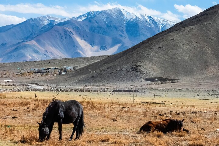 7 Days Private Ladakh India Tour with Transportation