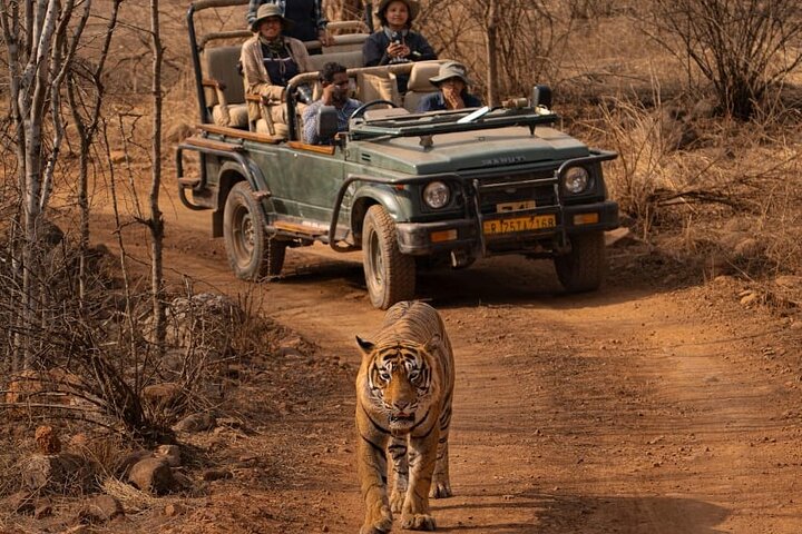 Ranthambore Safari Booking