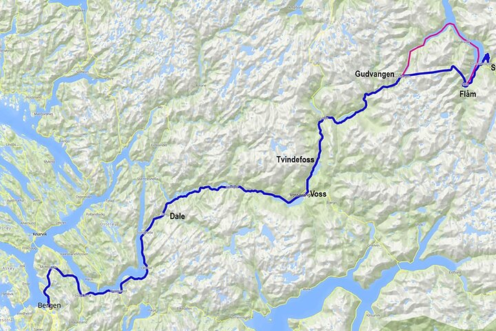 Bergen: UNESCO NærøyFjord Cruise, Flåm & Stegastein - Incl. Lunch