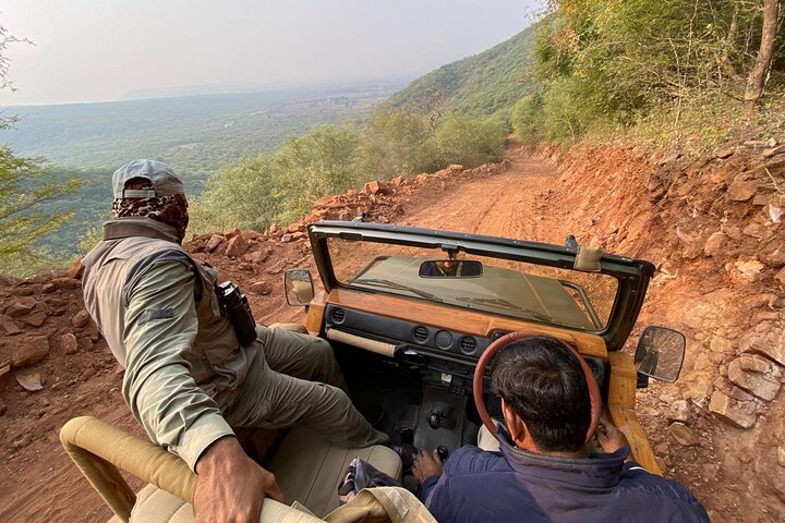 4 Day Golden Triangle with Ranthambore Tiger Safari Tour from Delhi