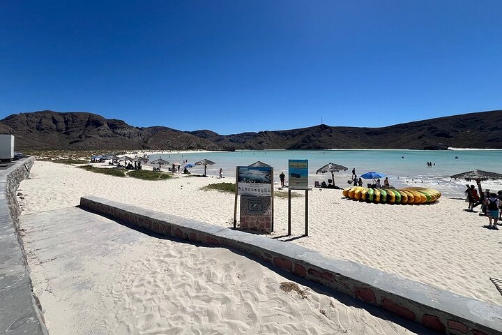 Playa Balandra Beach with La Paz Guided Tour! La Paz Round Trip