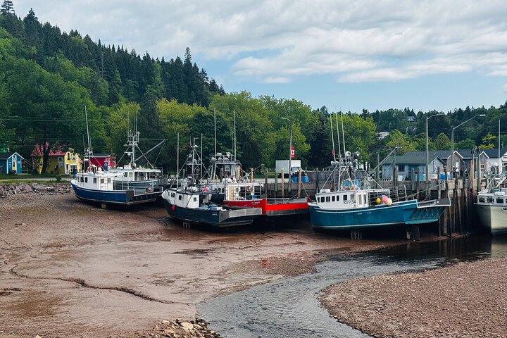 Shore Tours Saint John