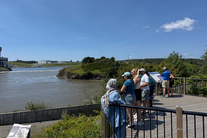 Shore Tours Saint John