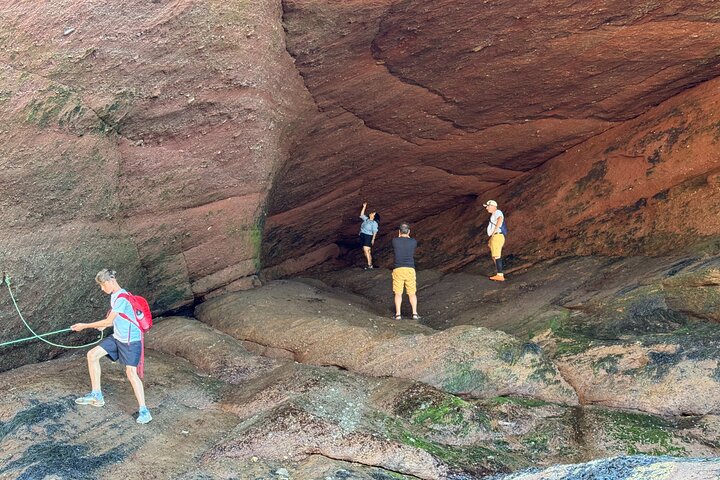 Shore Tours Saint John