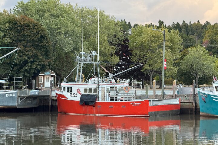 Shore Tours Saint John