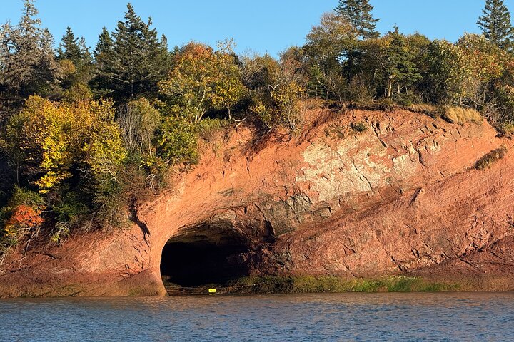 Shore Tours Saint John
