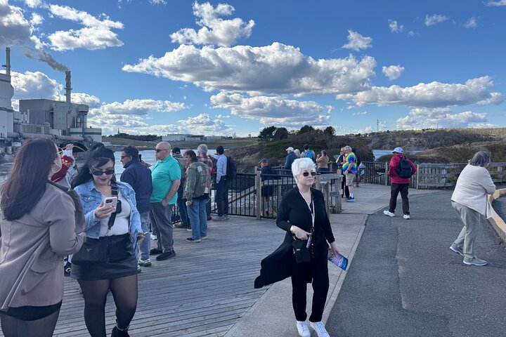Shore Tours Saint John