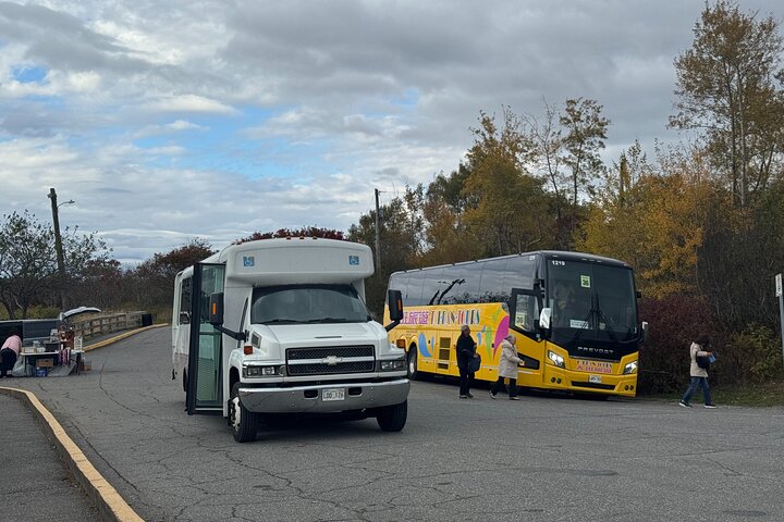 Shore Tours Saint John