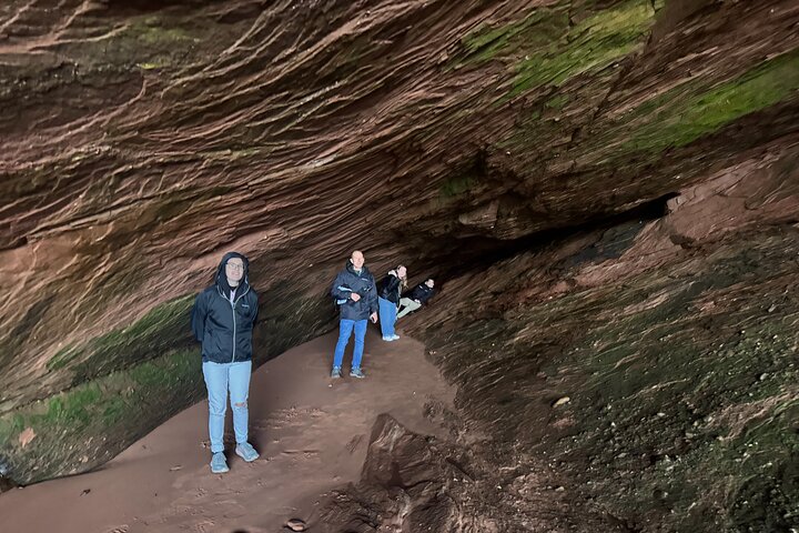 Shore Tours Saint John