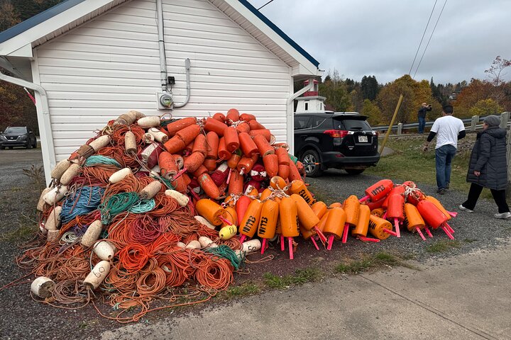 Shore Tours Saint John