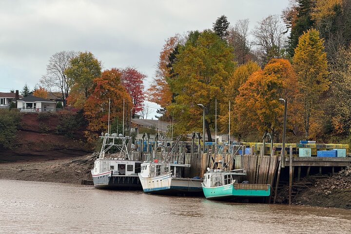 Shore Tours Saint John