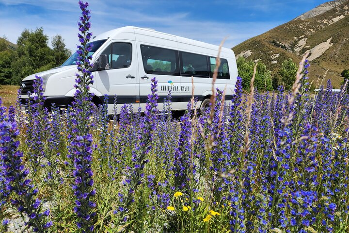 Christchurch to Arthur's Pass Tours + TranzAlpine Train & Lunch