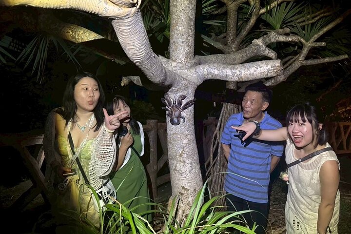 Okinawa Miyako Jungle&Starry Sky tour Free Pick up and Drop off