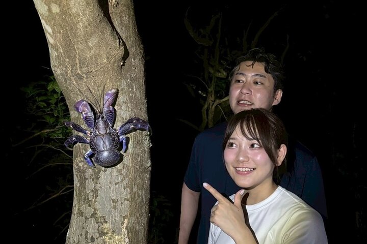 Okinawa Miyako Jungle&Starry Sky tour Free Pick up and Drop off