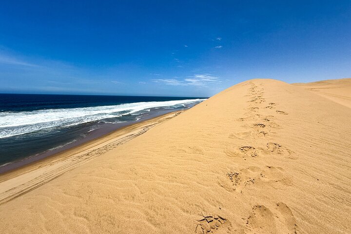 Sandwich Harbour Adventure Seals and Sandwich harbour dune drive