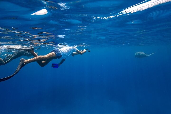Coron Group Dugong and Turtle Watching with Lunch