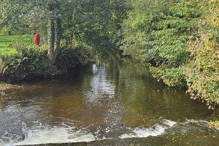 Blarney Castle, Kinsale & Cork City Centre