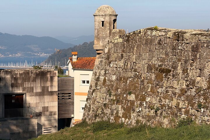 Small Group Historic Walking Tour of Vigo
