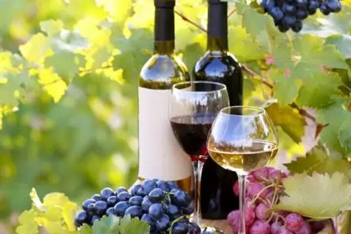 Perfect Italian experience: Cooking class - Wine Tour