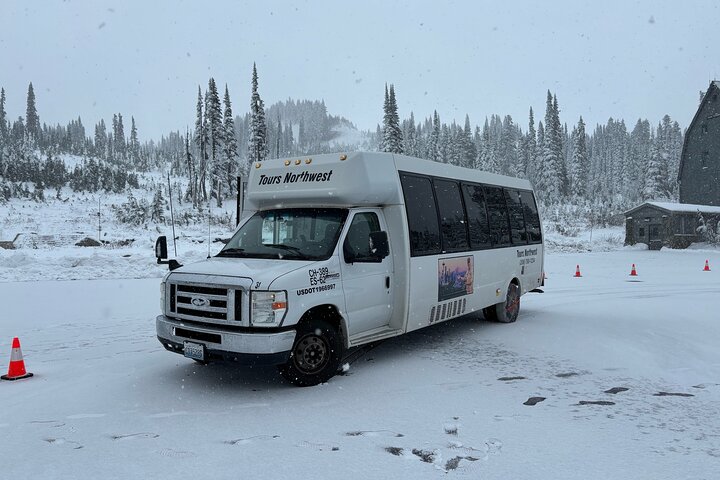 Mt. Rainier Day Tour from Seattle