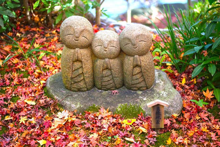 Kamakura Private Tour: Temples, Nature, and the Great Buddha