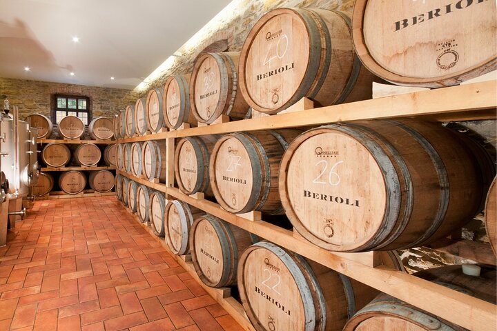 Winery Tour & Tasting near Lake Trasimeno & Perugia
