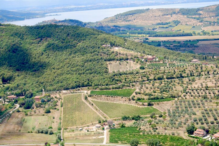 Winery Tour & Tasting near Lake Trasimeno & Perugia