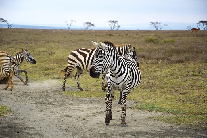 Hell's Gate with Cycling, Rock Climbing & Horseback Safari