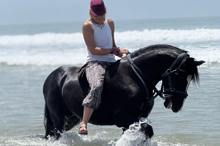 Horseback Riding in Essaouira - Essaouira HorseRiding