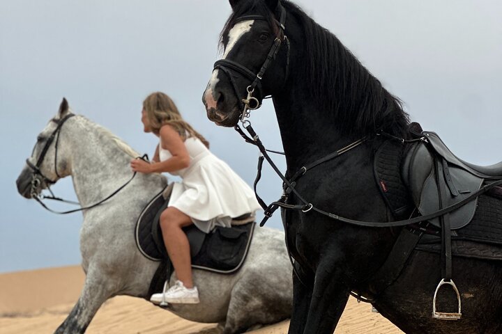 Horseback Riding in Essaouira - Essaouira HorseRiding