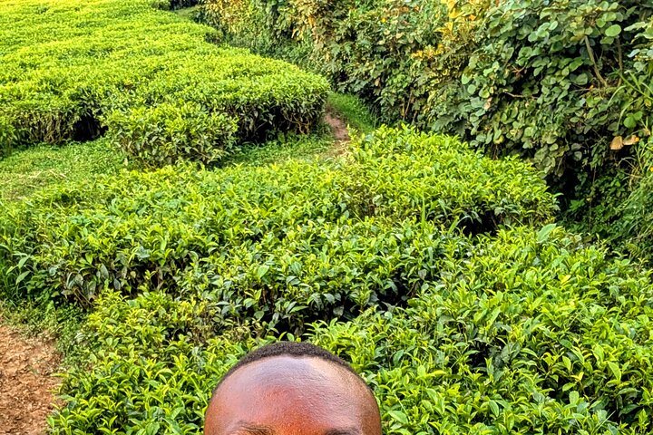 Lake Kivu Coffee Tea, Pottery and Bee Keeping Experiences