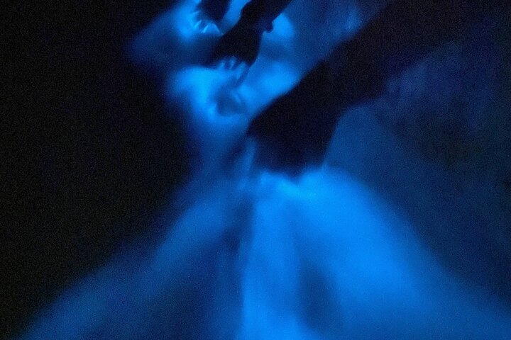 Bioluminescent Night Tour
