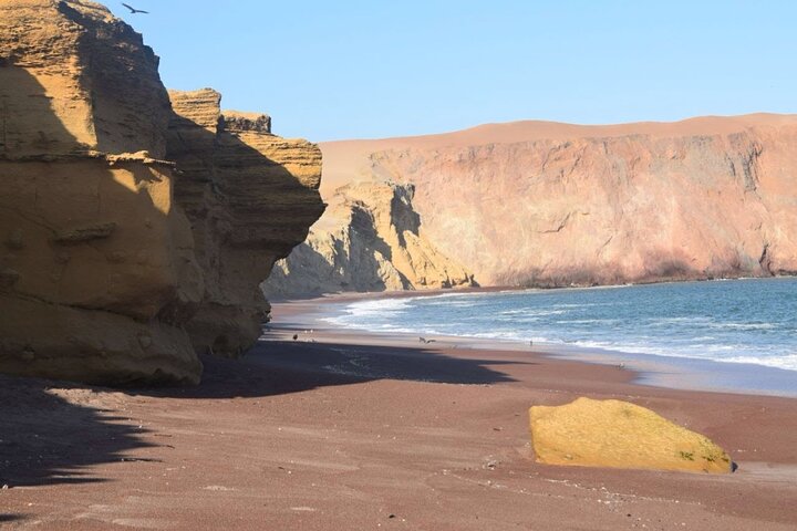 Paracas NationaL Reserve Journey - Scenic Stops at Your own pace