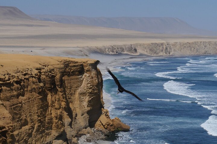 Paracas NationaL Reserve Journey - Scenic Stops at Your own pace