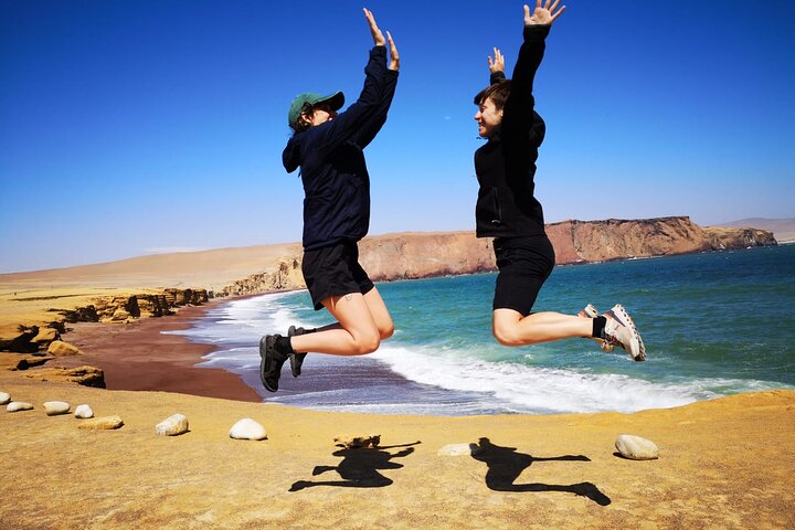 Paracas NationaL Reserve Journey - Scenic Stops at Your own pace