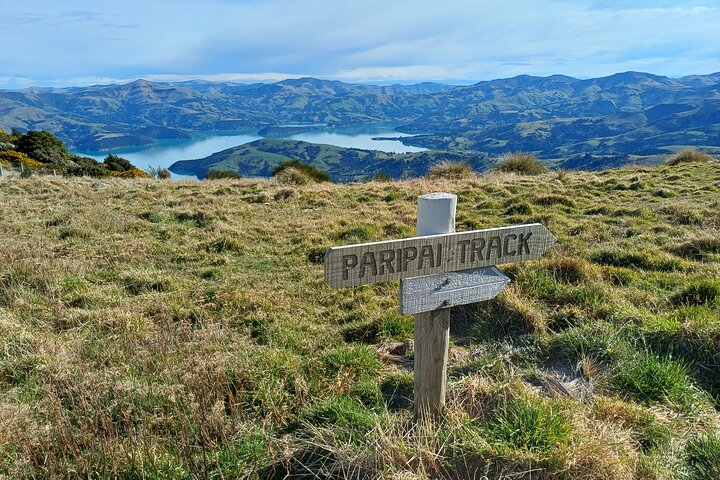 Akaroa Self Guided Electric Scooter Tour